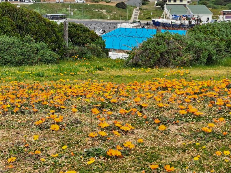 4 Bedroom Property for Sale in Pearly Beach Western Cape